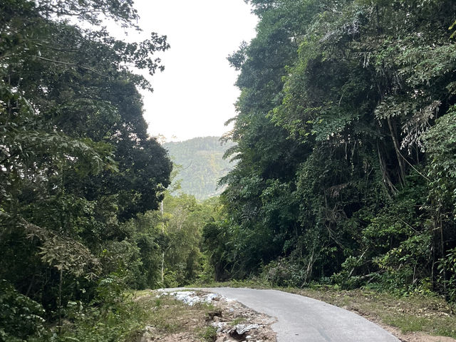 泰忘情獨旅女孩🐢文青龜島顛覆你的想像