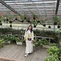 Botanical Beauty at Rumah Atsiri