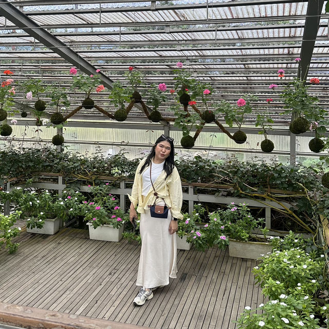 Botanical Beauty at Rumah Atsiri
