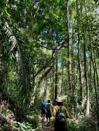 🌿 Rainforest Hiking Near Bangkok — So Much Fun I Could Burst!