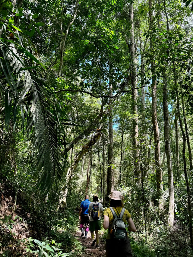 🌿 Rainforest Hiking Near Bangkok — So Much Fun I Could Burst!