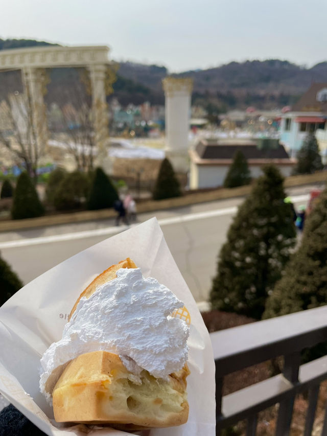 🎢 에버랜드, 경기도의 짜릿한 테마파크!