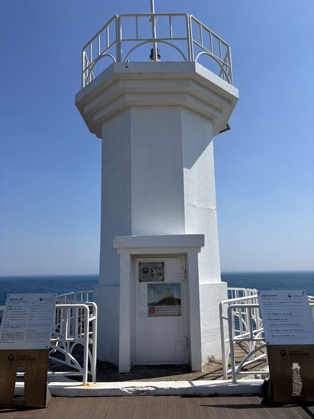 강아지와 함께 제주 여행 섭지코지