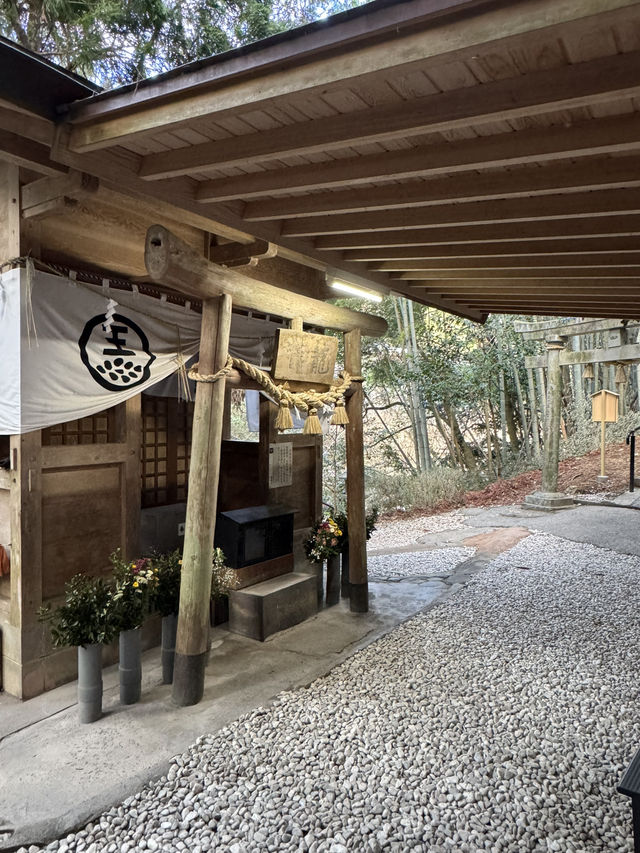 【熊本旅行】竹林に囲まれた知る人ぞ知るパワースポット神社⛩
