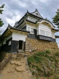 Bitchu Matsuyama Castle