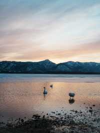 🇯🇵 Soak in the Sunset and Swan Views at Lake Kussharo, Hokkaido