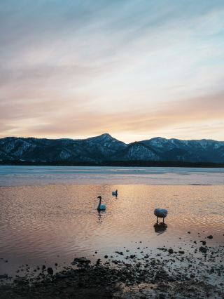 🇯🇵 Soak in the Sunset and Swan Views at Lake Kussharo, Hokkaido