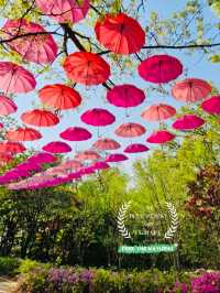 Spring Trip to Buramsan Azalea Hill in Seoul