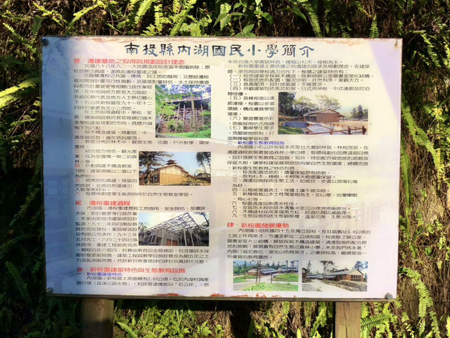 Classroom Under the Cherry Trees — Neihu Primary School, Nantou