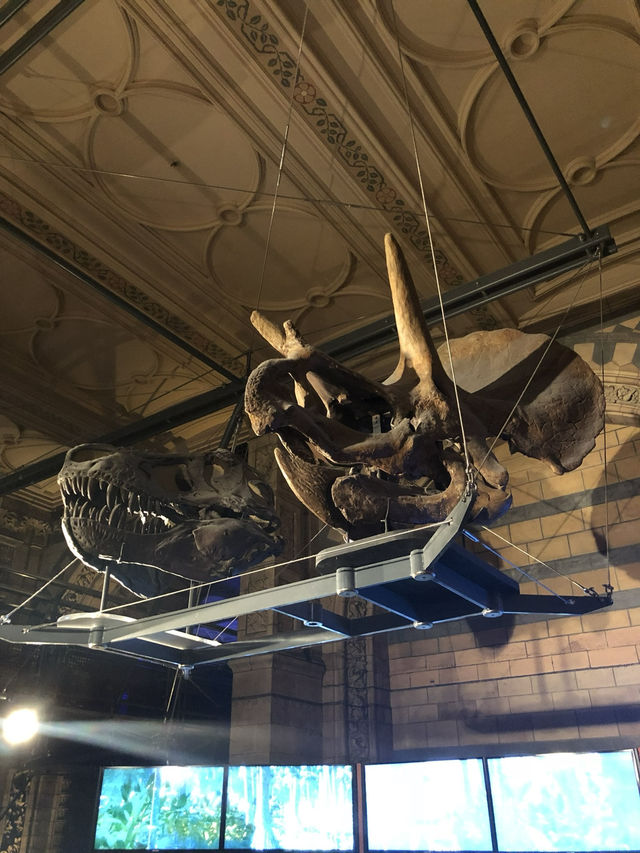 【倫敦必訪🌍自然歷史迷的天堂！自然歷史博物館體驗心得🦖🧬】