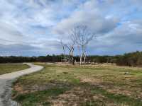 🌿 Rhyll Inlet Weekend Escape: 2 Days of Nature & Relaxation