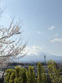 Mount Fuji – Japan’s Majestic Heartbeat 🗻✨