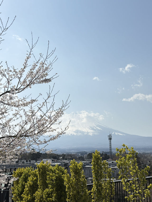Mount Fuji – Japan’s Majestic Heartbeat 🗻✨