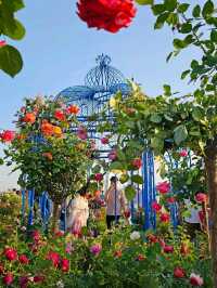 Title: Hangang Park: Seoul’s Riverside Playground of Nature, Culture, and Adventure