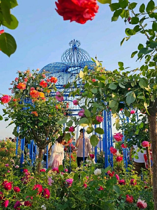 Title: Hangang Park: Seoul’s Riverside Playground of Nature, Culture, and Adventure