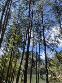 ปางอุ๋ง ทางผ่านบ้านรักไทย แต่ต้องแวะเพราะสวยจริง!