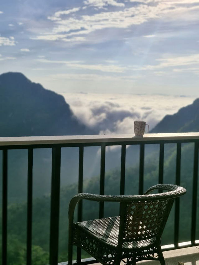 ✨ “จิบกาแฟกลางหมอก บอกรักขุนเขาที่ผาฮี้” เชียงราย
