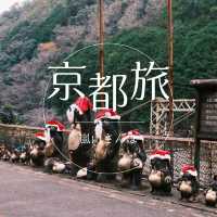 【京都】絶景列車と舟旅で楽しむ、嵐山1日満喫コース