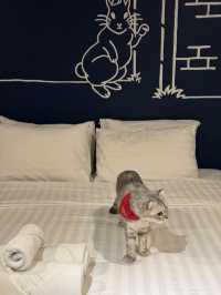เที่ยวหัวหินพาน้องแมวพักโรงแรม PetFriendly 