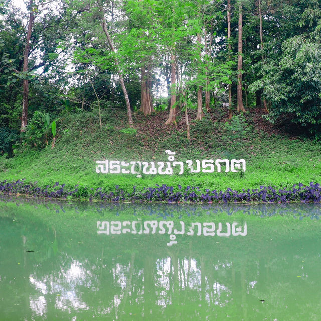 สระน้ำมรกต ขุนน้ำนางนอน 