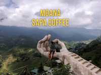 Moana Sapa Coffee จุดเช็คอินซาปาสุดสวย