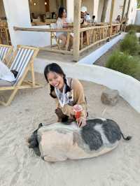  Kamari Cafe & Resort เกาะล้าน 