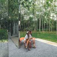 คาเฟ่แผ่นกระจกกลางสวนยางพารา
