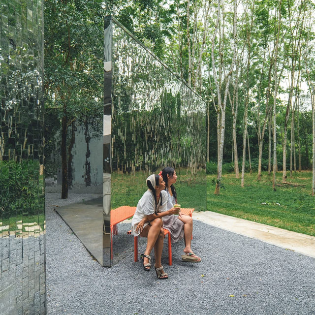 คาเฟ่แผ่นกระจกกลางสวนยางพารา