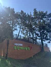 🌊 통영 이순신공원에서 힐링 산책 완료! 🌿