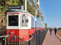 Busan's Sky-High Coastal Dream