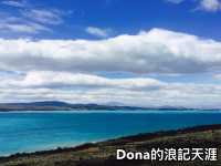 📍紐西蘭南島。普卡基湖｜一窺紐西蘭牛奶湖 🔵