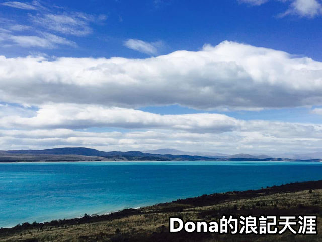 📍紐西蘭南島。普卡基湖｜一窺紐西蘭牛奶湖 🔵