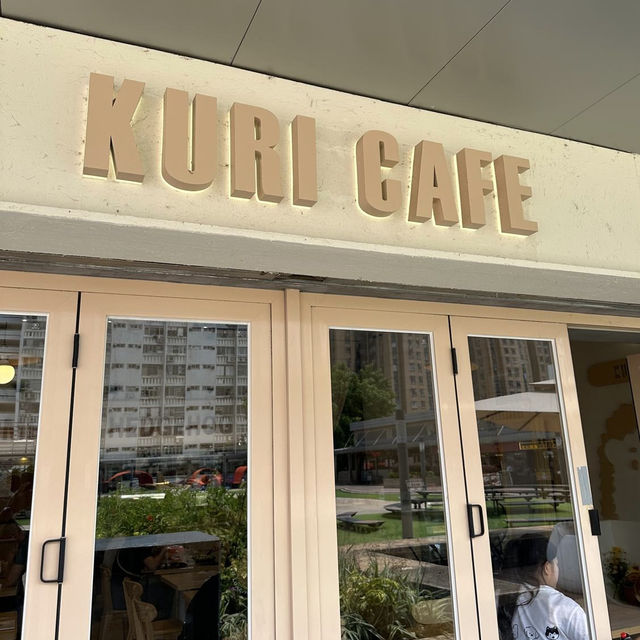 香港首間刺蝟主題cafe🦔