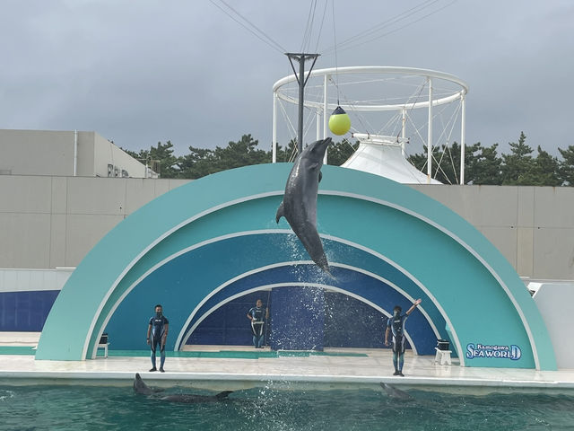 【鴨川シーワールド｜千葉・鴨川】 シャチに会える、日本でも数少ない水族館