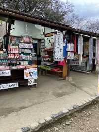 彦根城へ行って、ひこにゃんに会ってきた！