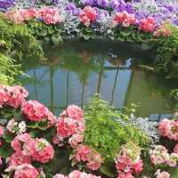 Spring Serenity at Fitzroy Gardens, Melbourne