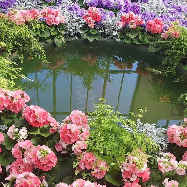 Spring Serenity at Fitzroy Gardens, Melbourne