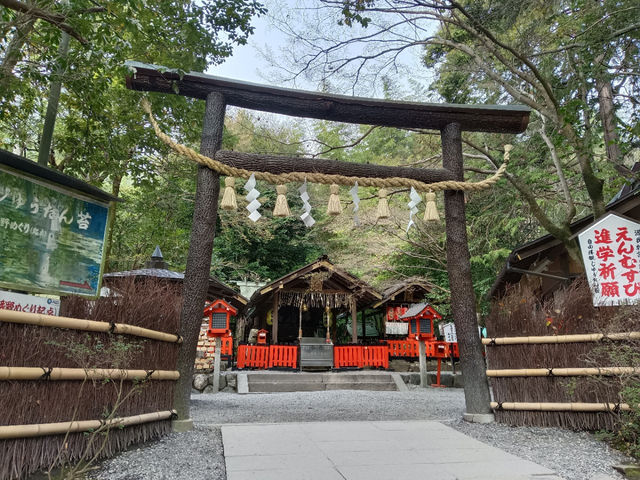嵐山竹林の小径