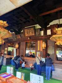 大阪｜到葛井寺看紫藤白藤 1300年11面千手觀音神像近距離參拜
