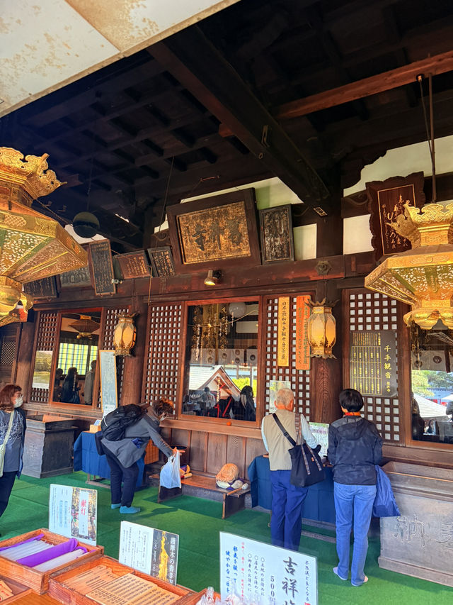 大阪｜到葛井寺看紫藤白藤 1300年11面千手觀音神像近距離參拜