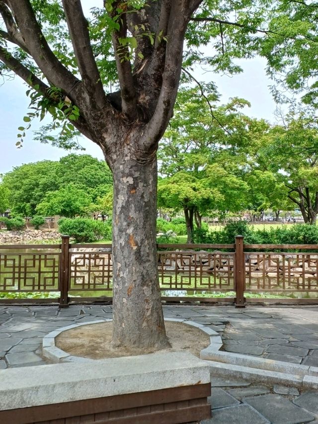 고분의 곡선 따라 마음도 부드러워지는 산책