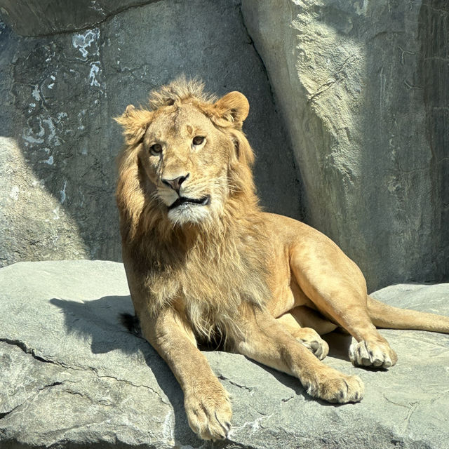  札幌圓山動物園：北國生態之窗