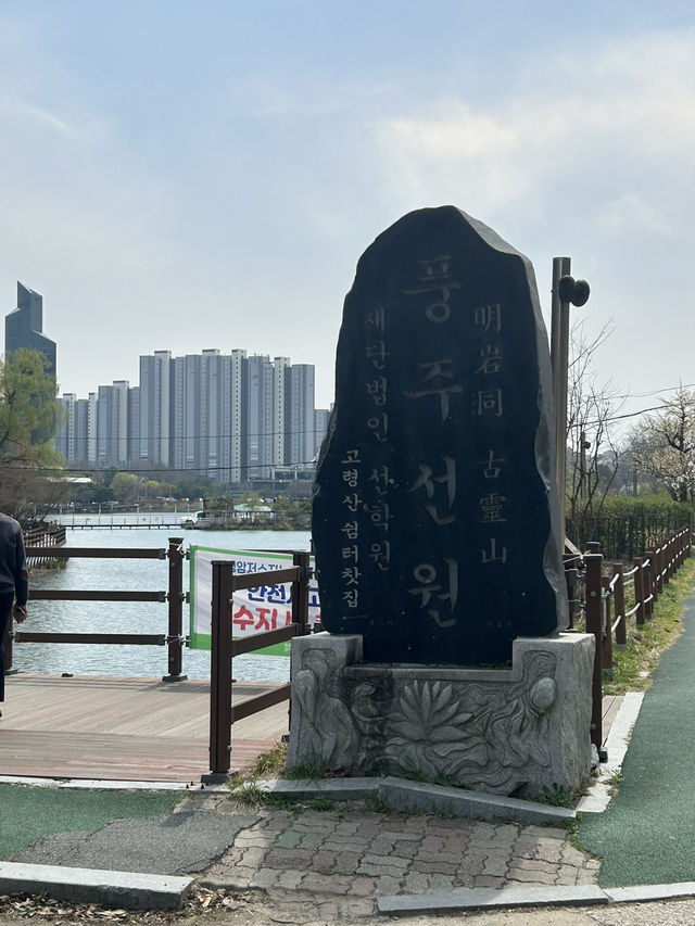 🌿 도심 속 작은 호수, 명암저수지에서의 여유로운 산책
