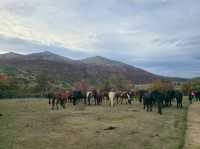 해외여행 칠레 Welcome Center Parque Nacional Torres del Paine