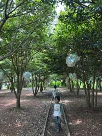 濟州島 Ecoland 生態主題樂園