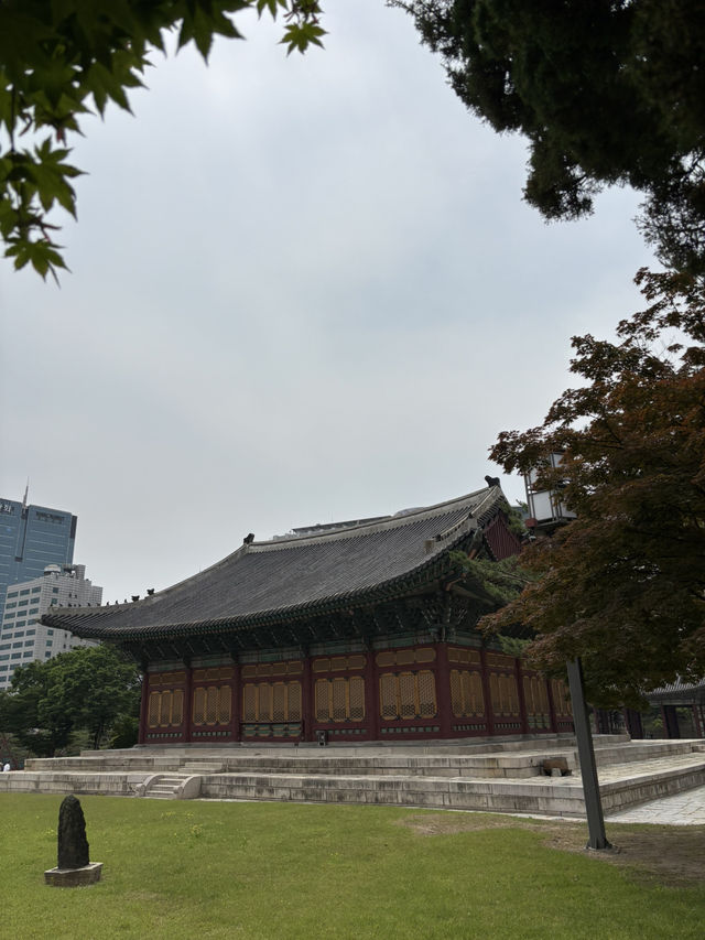 고요함이 숨쉬는 조선시대 덕수궁 돌담길🥹