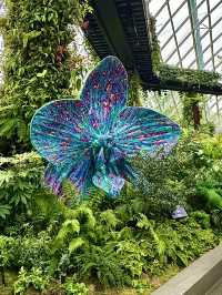 Cloud Forest — A Cool Summer Escape in Singapore’s Urban Jungle