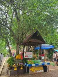 วัดบางกุ้ง
