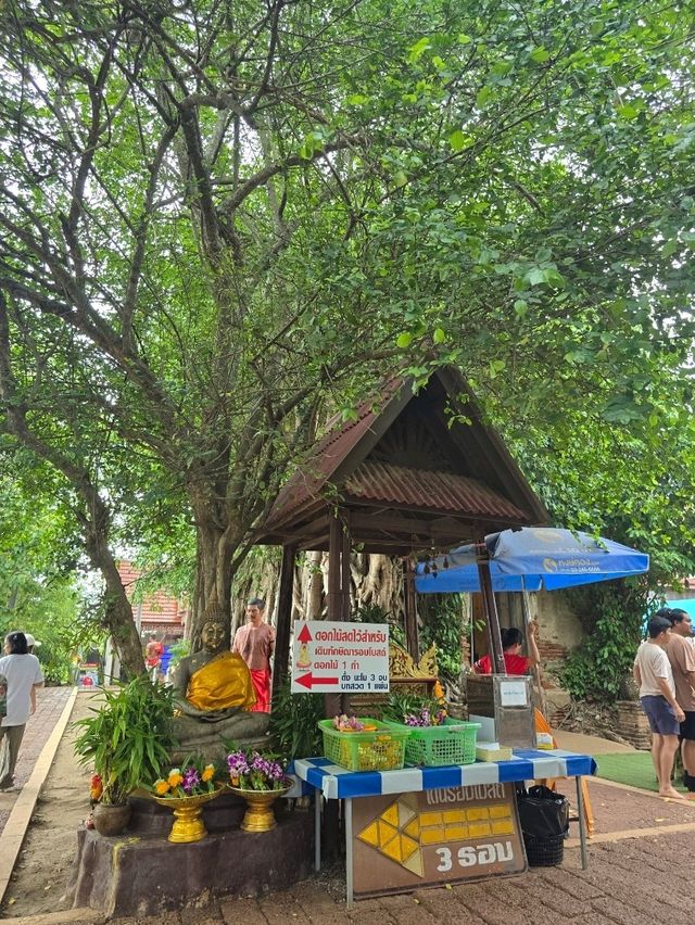 วัดบางกุ้ง