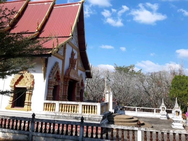วัดพระบาทแม่ไทย